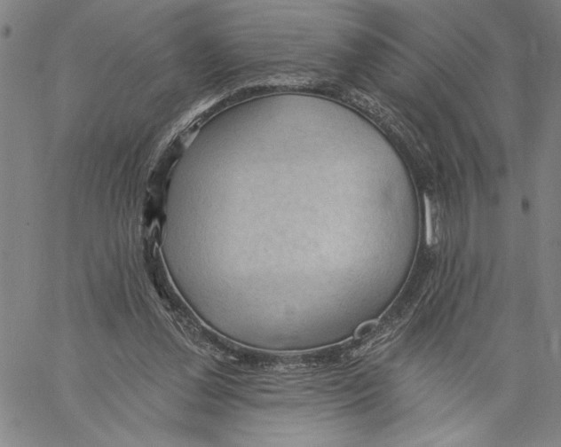 X0000060560252200512011649