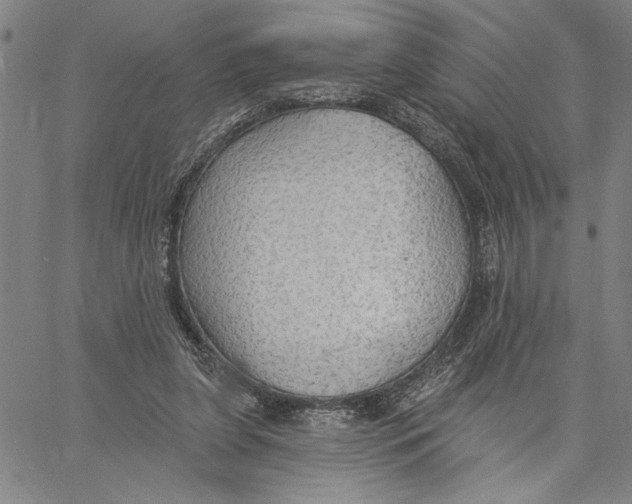 X0000060560255200512011649