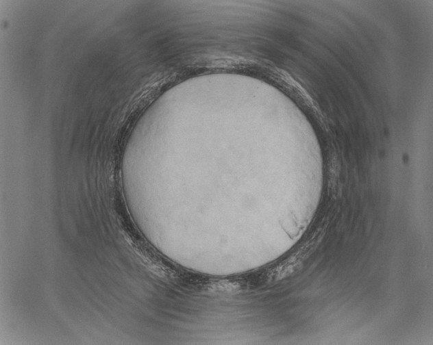 X0000060560257200512011649
