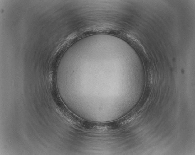 X0000060560260200512011649