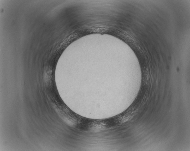 X0000060560263200512011649