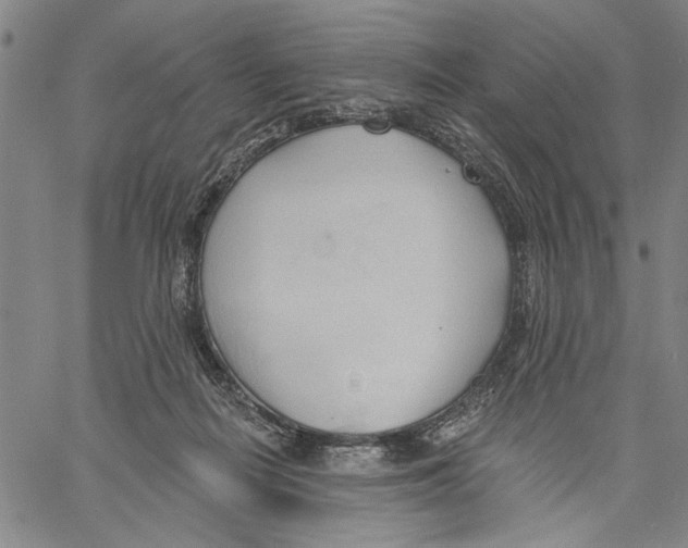 X0000060560266200512011649
