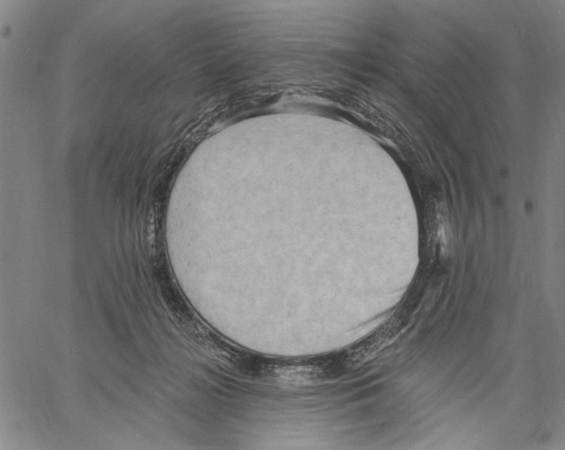 X0000060560268200512011649