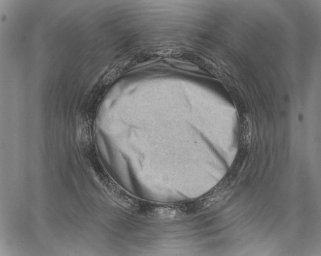 X0000060560272200512011649