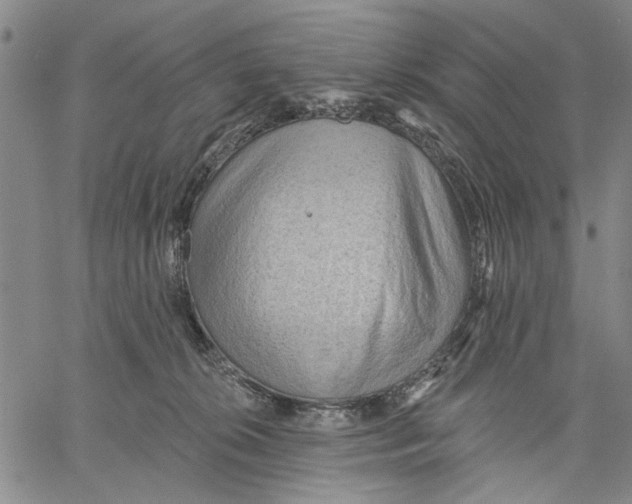 X0000060560276200512011649