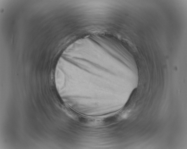 X0000060560288200512011649