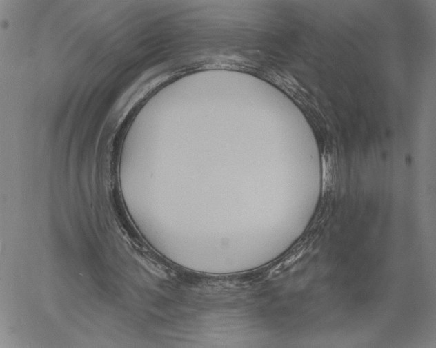 X0000060560291200512011649