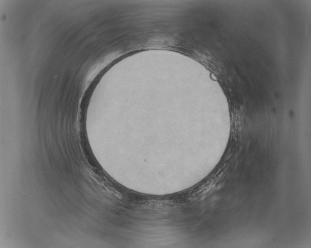 X0000060560292200512011649