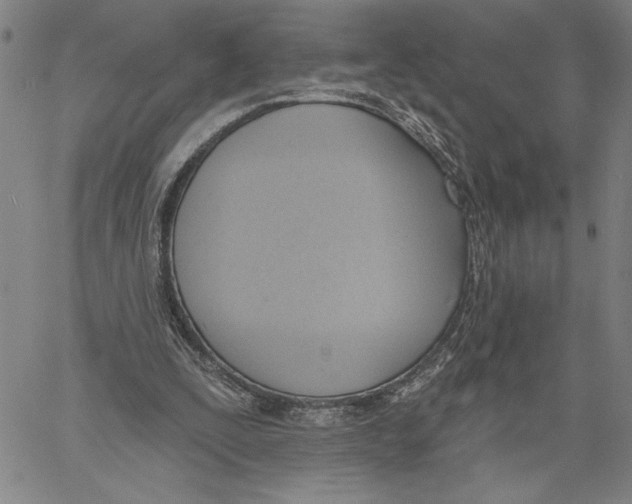 X0000060560295200512011649