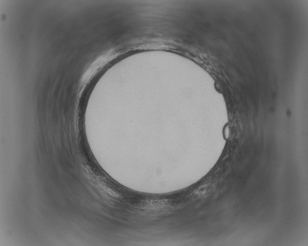 X0000060560296200512011649