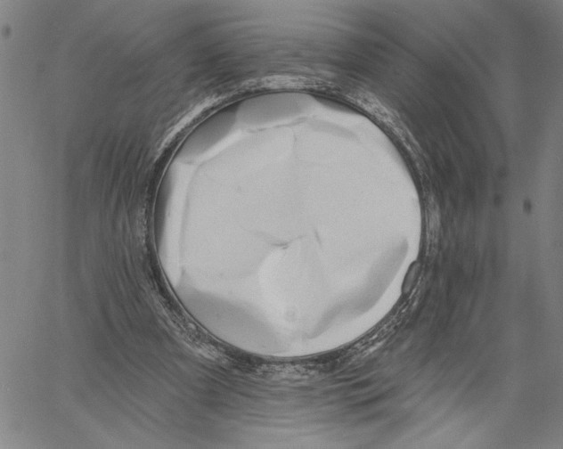 X0000060560297200512011649