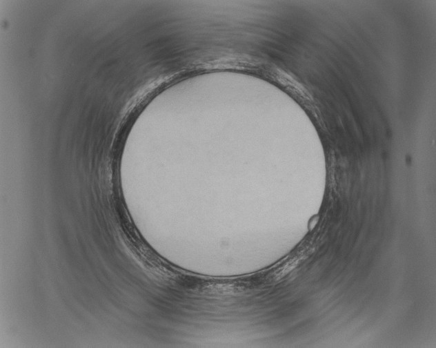 X0000060560298200512011649