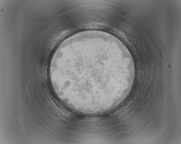 X0000060560299200512011649
