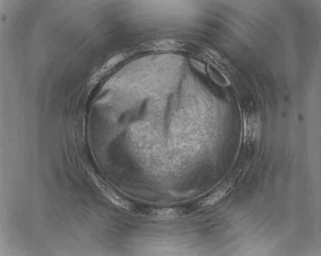 X0000060560301200512011648