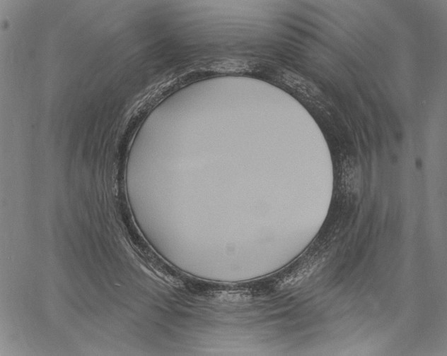 X0000060560303200512011648