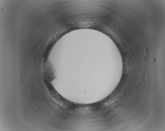 X0000060560307200512011648