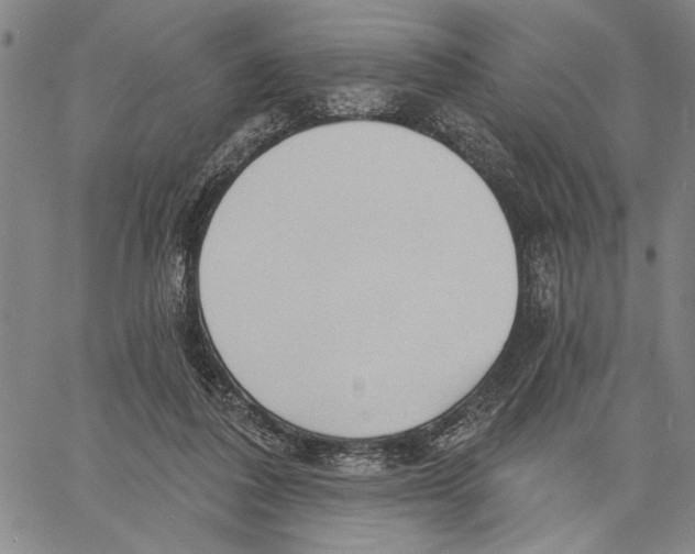X0000060560308200512011648