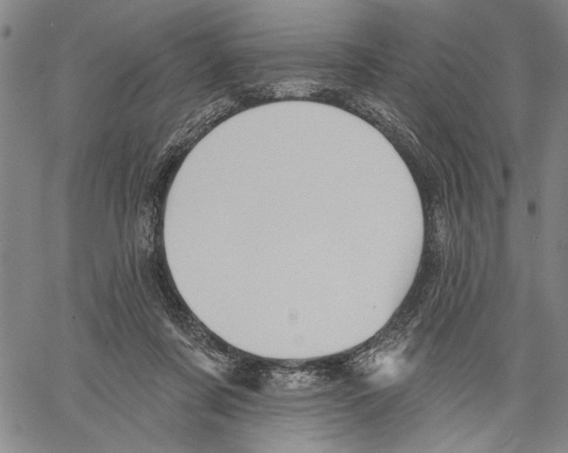 X0000060560311200512011648