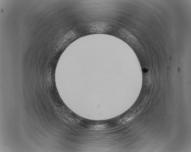 X0000060560312200512011648