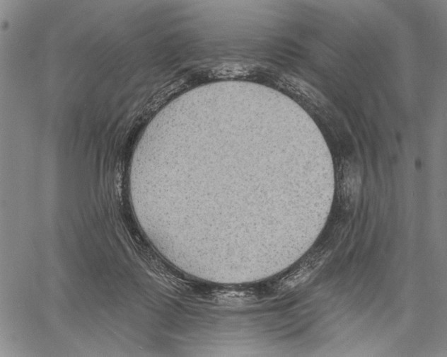 X0000060560315200512011648