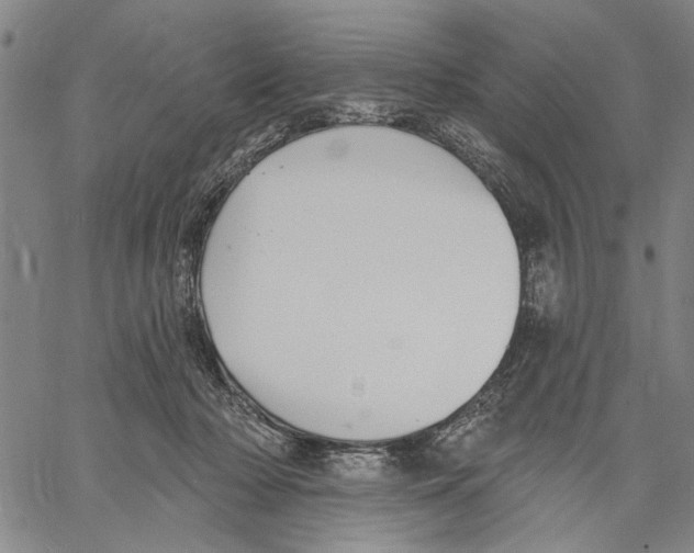 X0000060560318200512011648