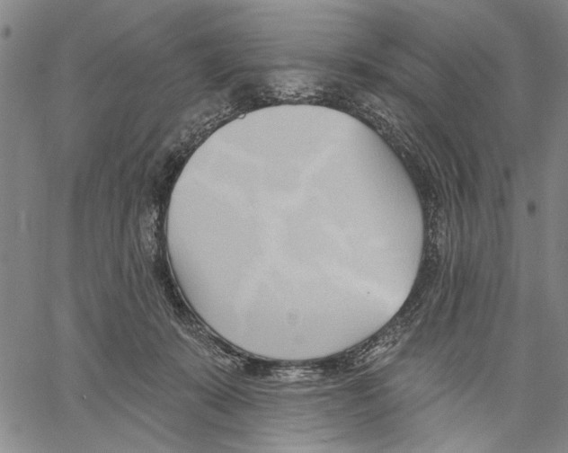 X0000060560319200512011648