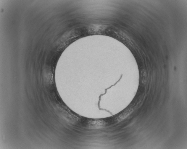 X0000060560324200512011648
