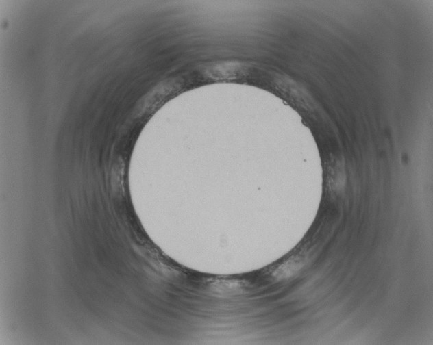X0000060560332200512011648