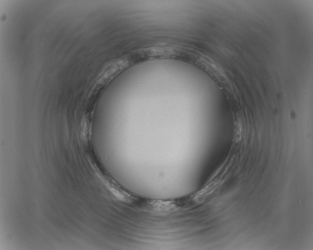X0000060560333200512011648