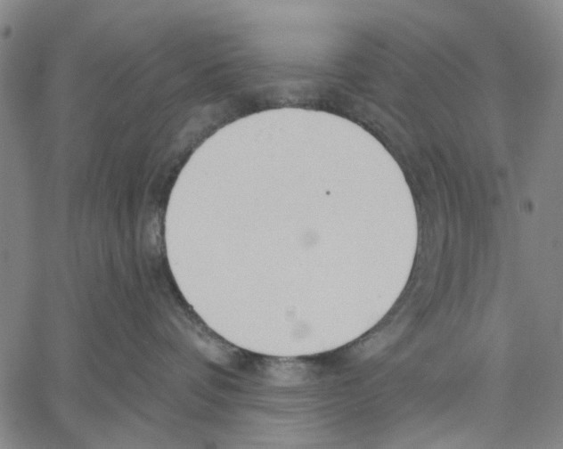 X0000060560336200512011648