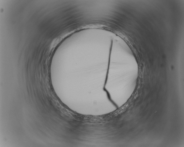 X0000060560337200512011647