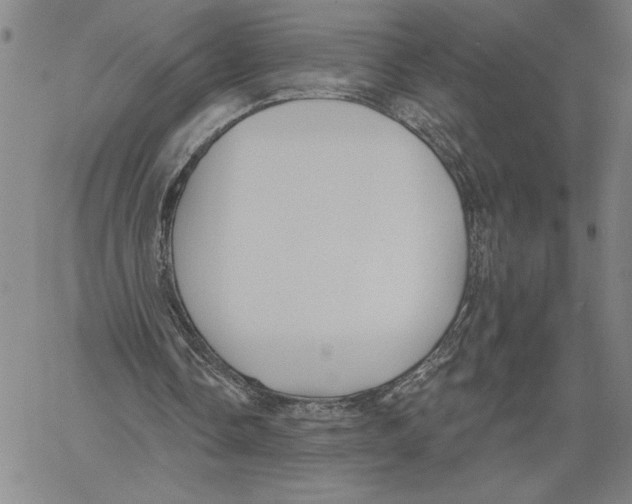 X0000060560338200512011647