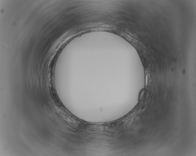 X0000060560339200512011647