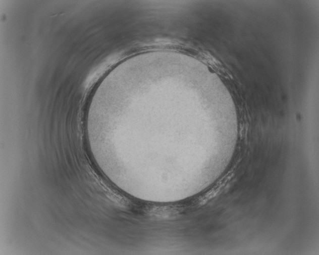 X0000060560341200512011647