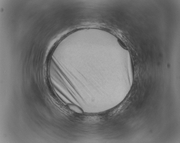 X0000060560342200512011647
