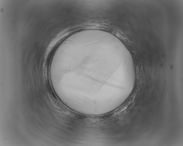 X0000060560343200512011647