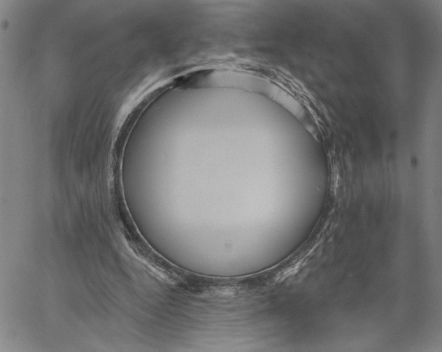 X0000060560344200512011647