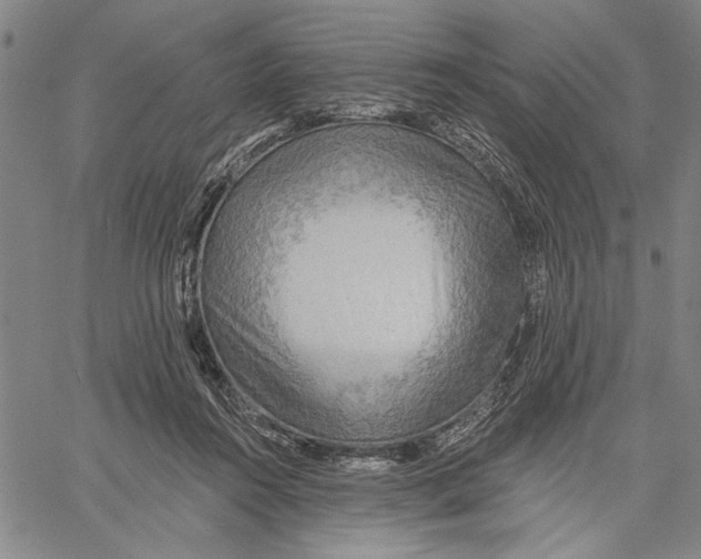 X0000060560360200512011647
