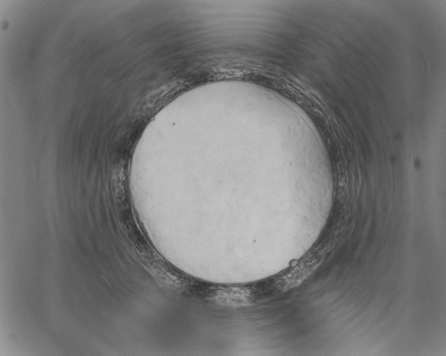 X0000060560369200512011648