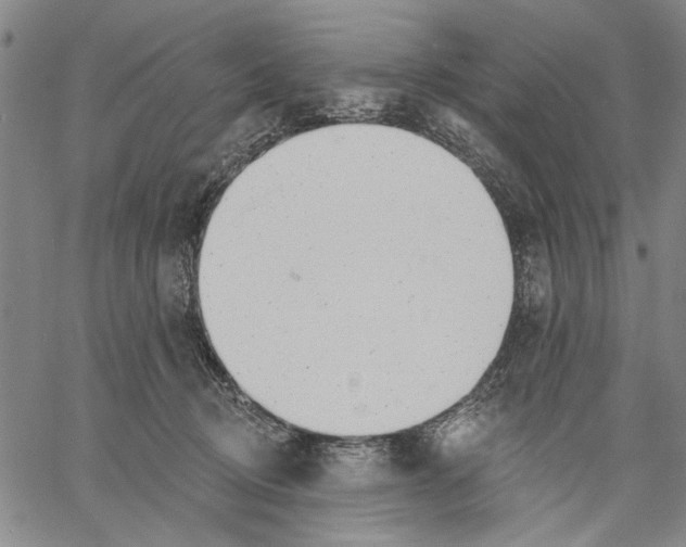 X0000060560370200512011648