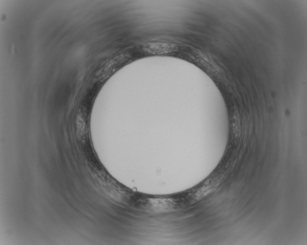 X0000060560371200512011648