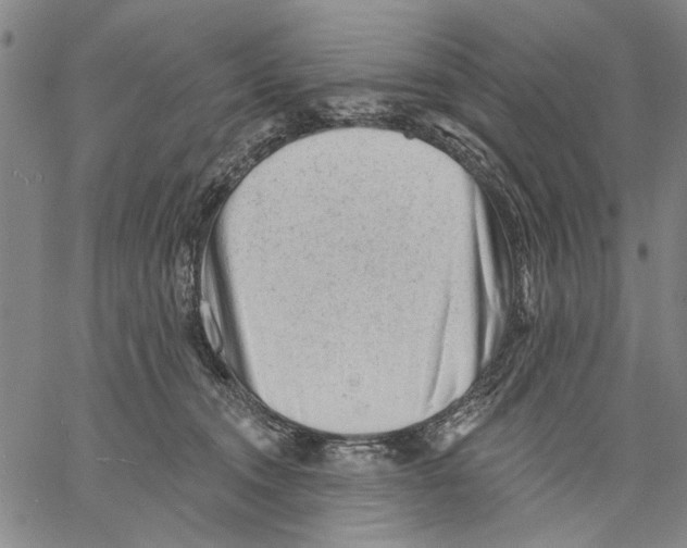 X0000060560372200512011648
