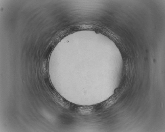 X0000060560373200512011648