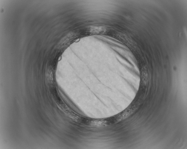 X0000060560375200512011648