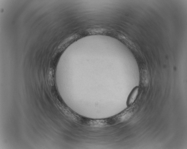X0000060560378200512011648