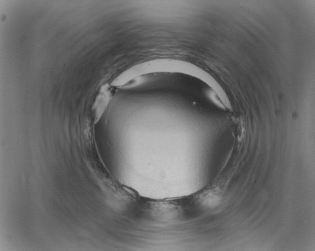 X0000060560380200512011648