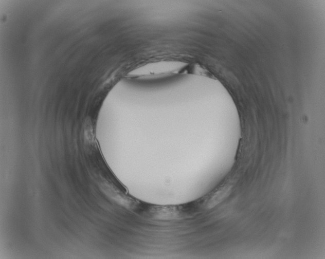 X0000060560384200512011648