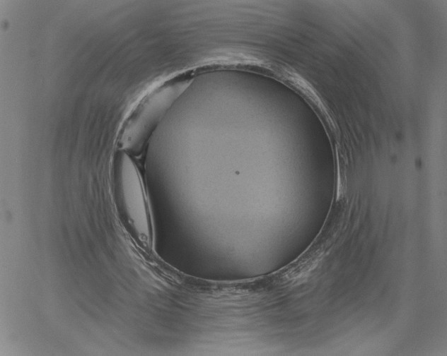 X0000060560387200512011647