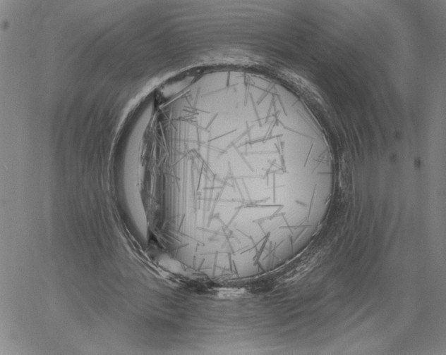 X0000060560388200512011647
