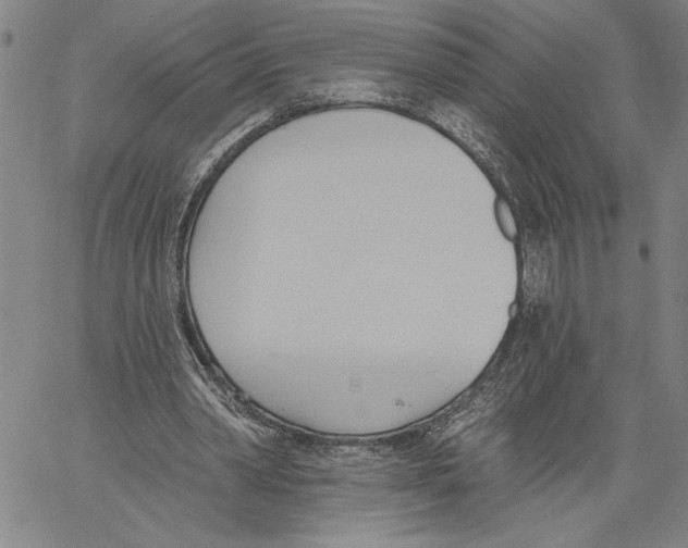 X0000060560390200512011647